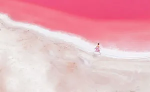 I Captured The Magic Of Pink Lagoon In Western Australia (20 Pics)