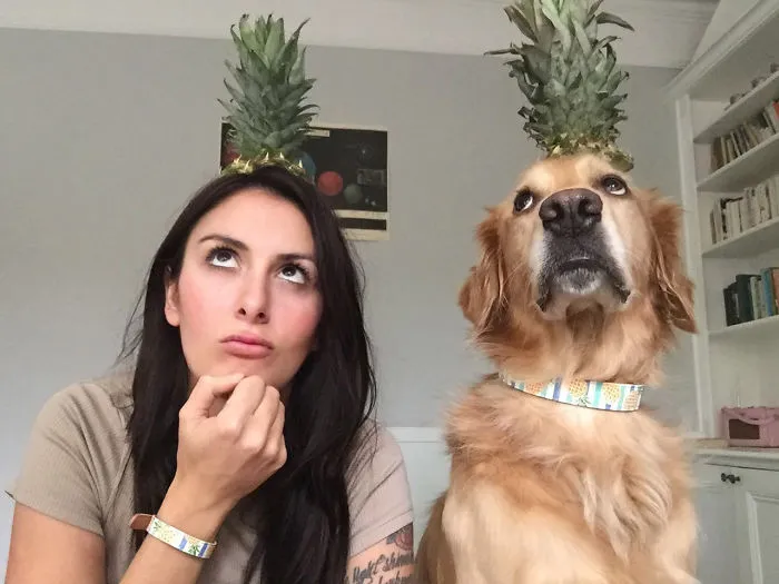 Estoy un poco obsesionada con mi perro, pero no me arrepiento en ningún momento (22 fotos)