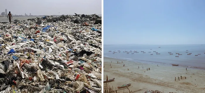 Volunteers Pick Up 5,3 Million Kilograms Of Trash On A Beach In Mumbai