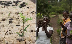 13 Feel-Good Stories About People Saving Our Planet