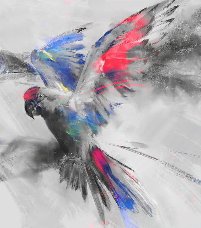Red Fronted Macaw