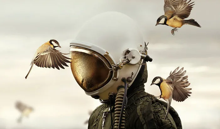 Creative Category Winner: 'Dreamers And Warriors' By Martin Stranka, Czech Republic