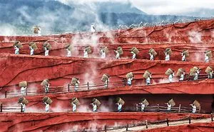 30 Best Photos From The Sony World Photography Awards 2019