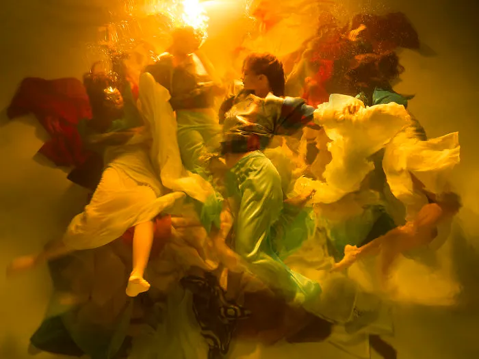 Motion Category Winner: 'Harmony' By Christy Lee Rogers, United States