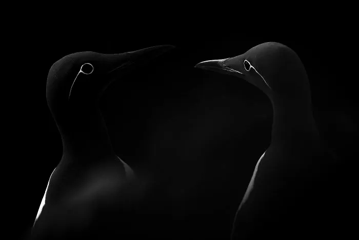 Natural World & Wildlife: 'Face To Face' By Manuel Enrique González Carmona, Spain