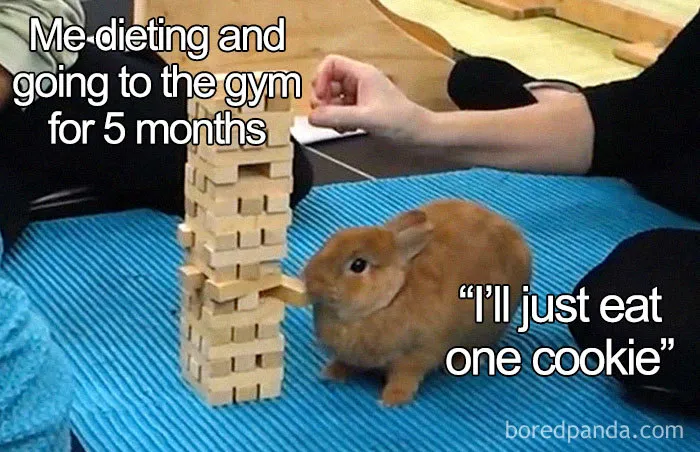 Rabbit beside a Jenga tower with text about dieting; humorous weight loss meme.