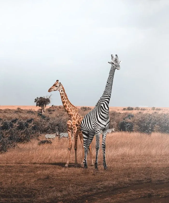 This Artist Invites You To Travel In His Fantastic Surreal Worlds