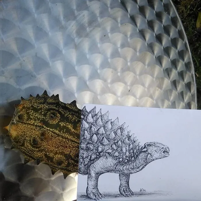 Dinosaur Kiwano