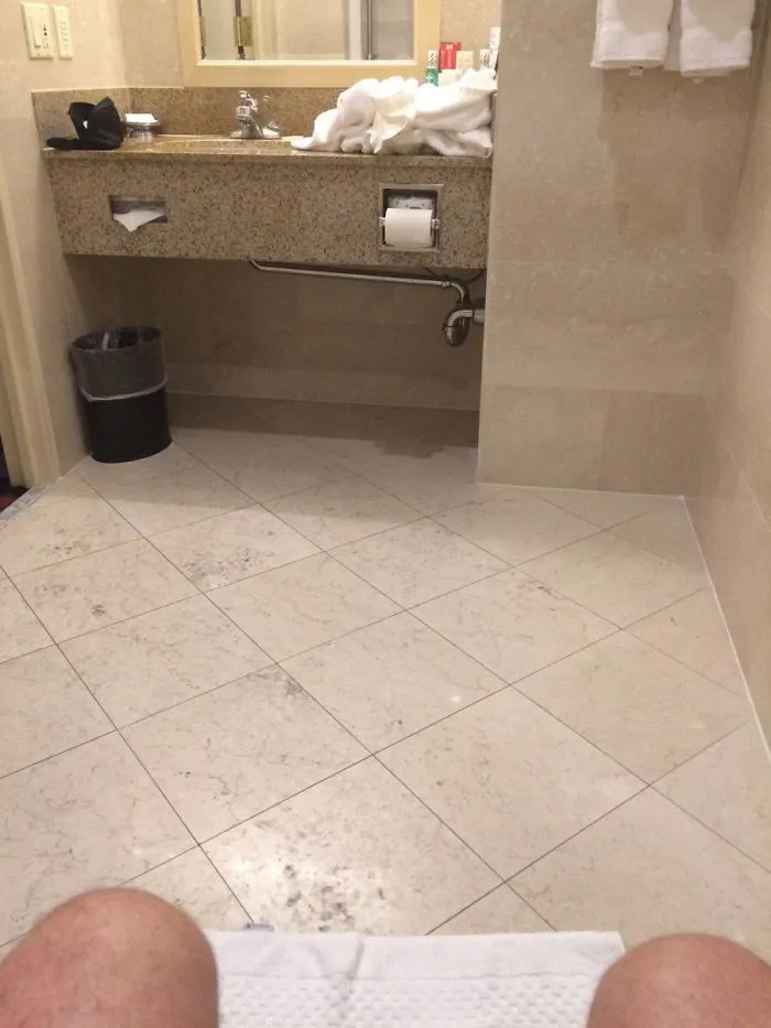 This Toilet Paper Holder