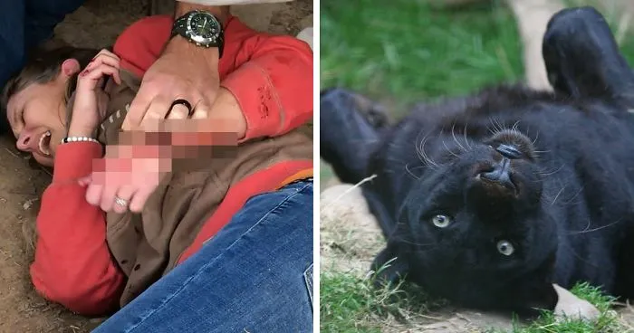 Zoo Confirms That The Jaguar Who Attacked A Woman Trying To Take A Selfie With Her Won't Be Put Down