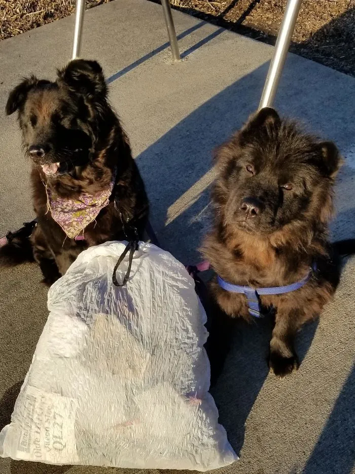 30 Of The Best Responses To #Trashtag Challenge (New Pics)