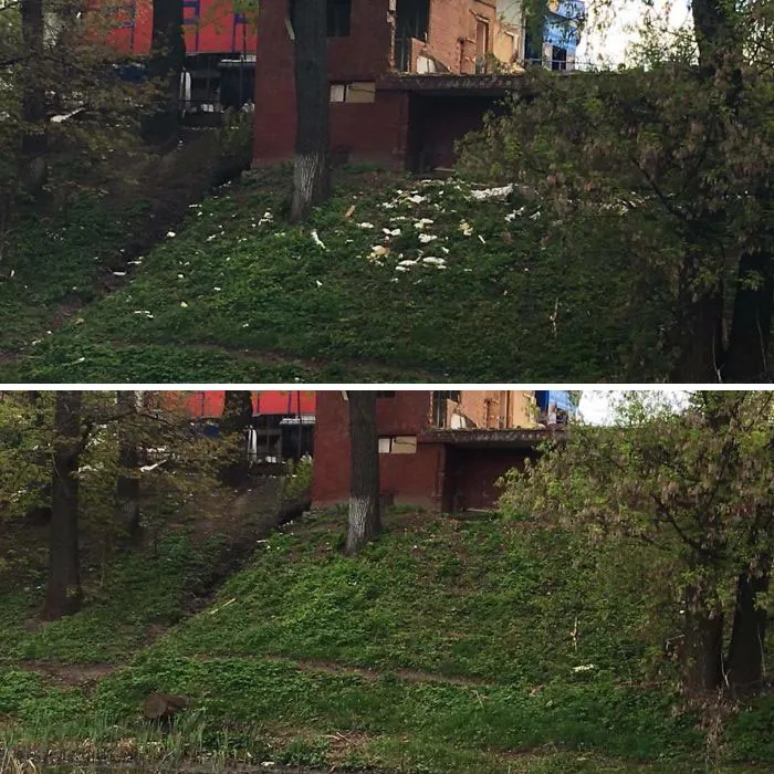 30 Of The Best Responses To #Trashtag Challenge (New Pics)