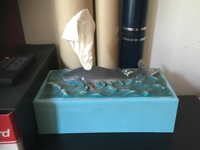 This Whale Tissue Dispenser