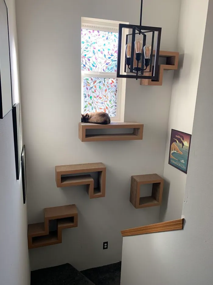 My Space-Saving Cat Tower