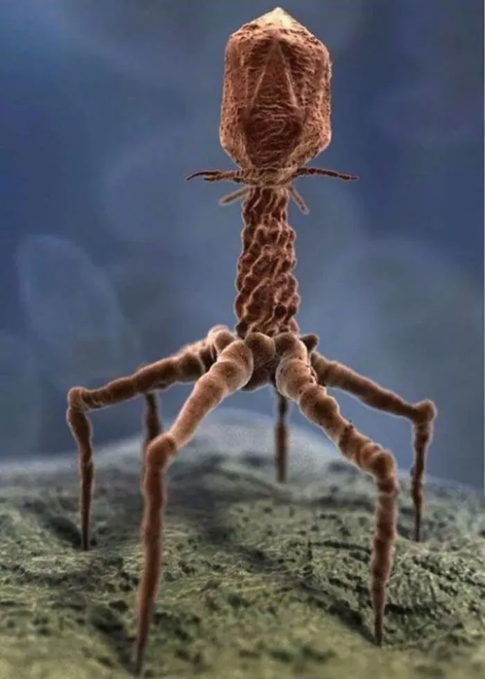Imagen procesada de un virus real a través de un microscopio electrónico