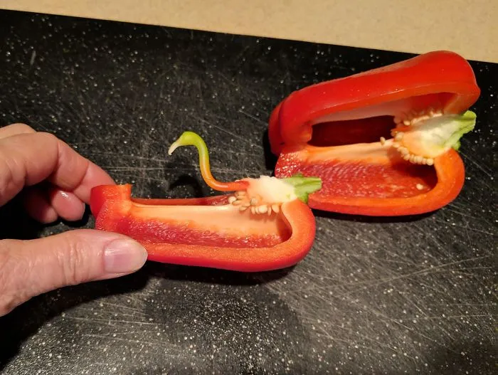 Flamenco oculto en un pimiento