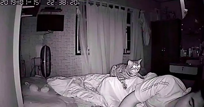 Man Sets Up Secret Camera To Record What His Cat Does At Night And It's Hilarious