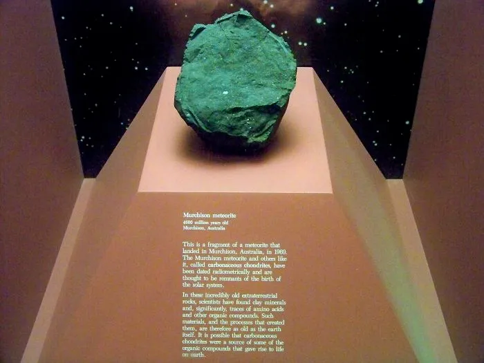 Una de las rocas más antiguas que existen, el meteorito Murchison. Existía antes de formarse la Tierra, tiene unos 4600 millones de años