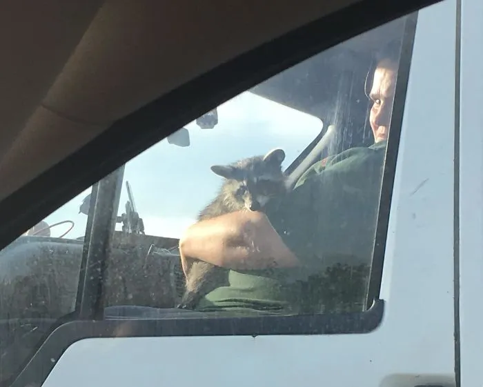 Conducir Por La Autopista Y Ser Adelantado Por: