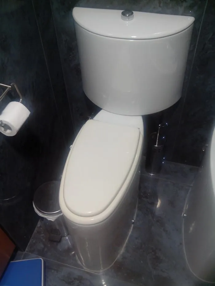 Este retrete es tan estrecho que no me cabe el culo