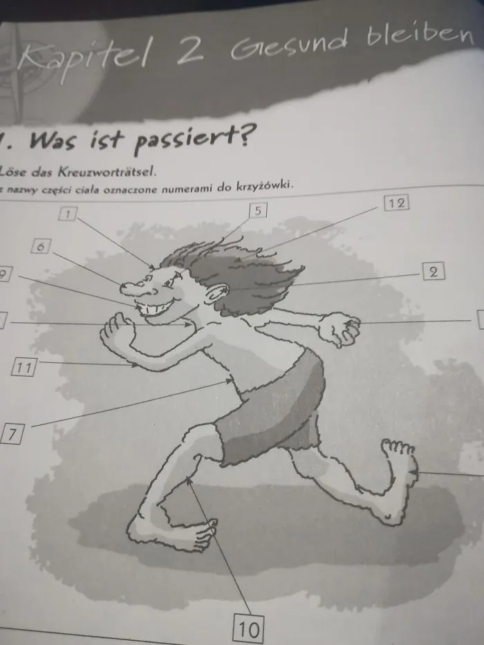 I Was Helping My Cousin With His German Homework And I Saw This Masterpiece