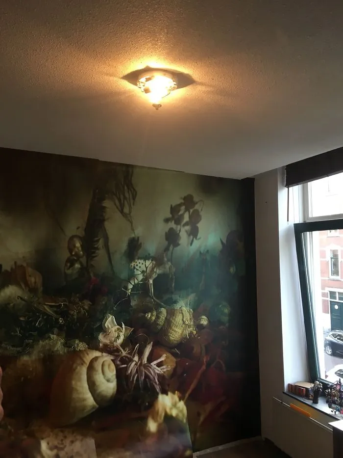 Lookingwalls