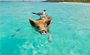 8 Great Destinations For Spring Break