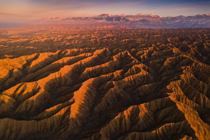 The Canyon Of Forgotten Rivers