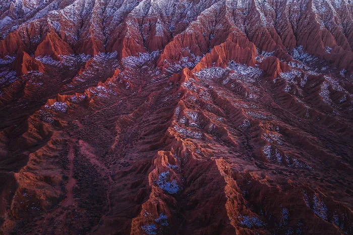 Red Maze