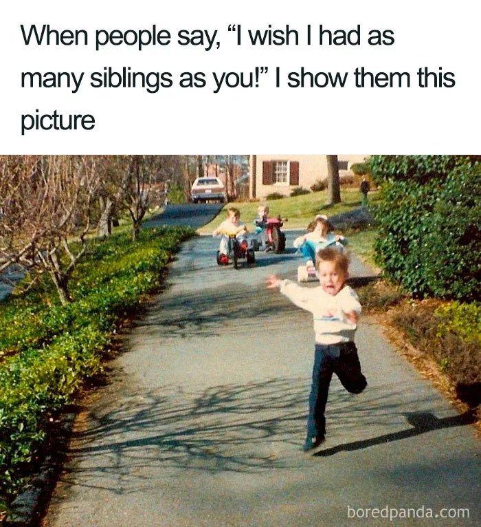 30 Of The Best Sibling Memes Ever