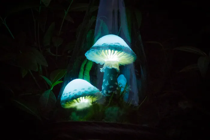Turquoise Mushrooms In Glass Flask Night Light