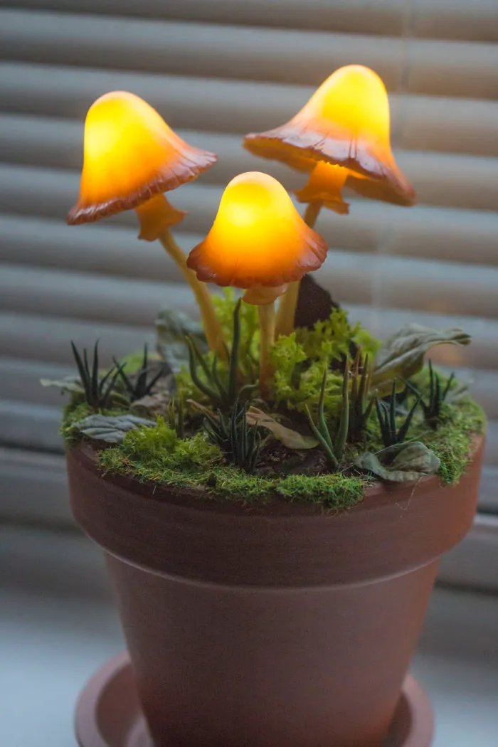 Three Amber Mushrooms In Flower Pot Night Light