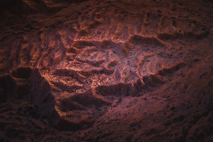 Alien Footstep