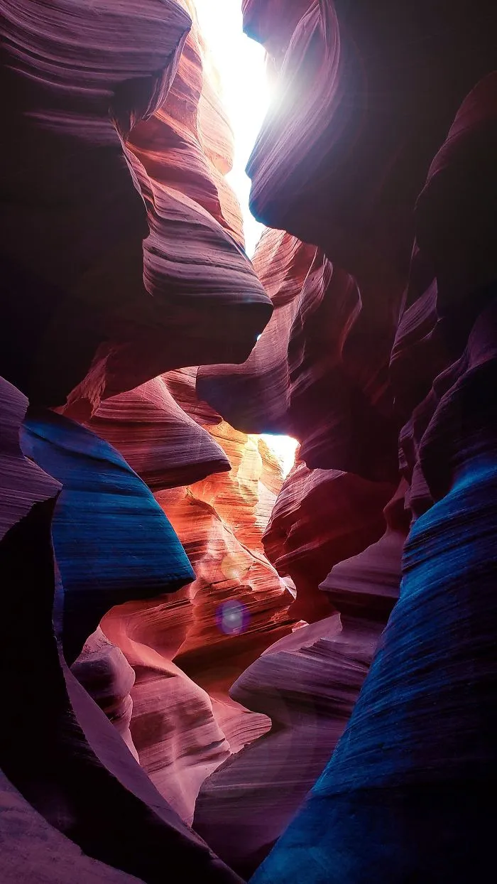 Fall In Love With Arizona