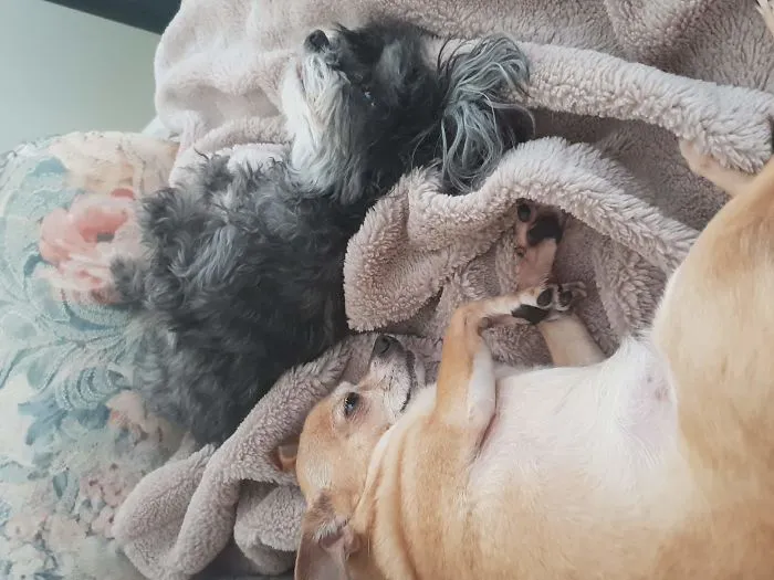 Sleepy Time Or Play Time?