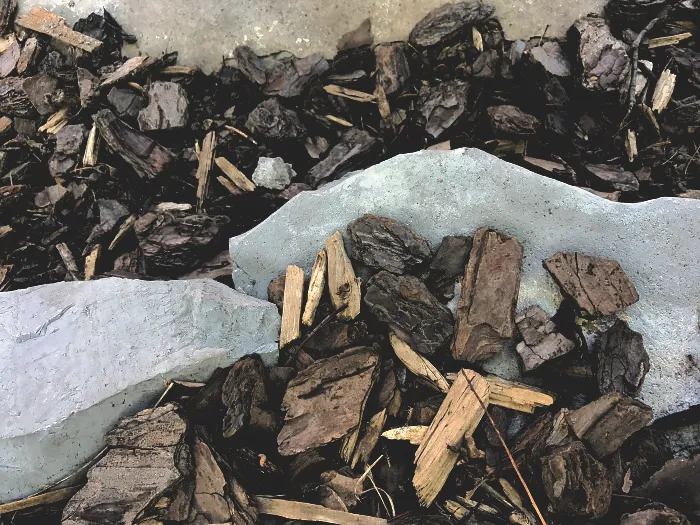 Local Dog Owner Wants You To Find His Dog's Poo (No, Really)