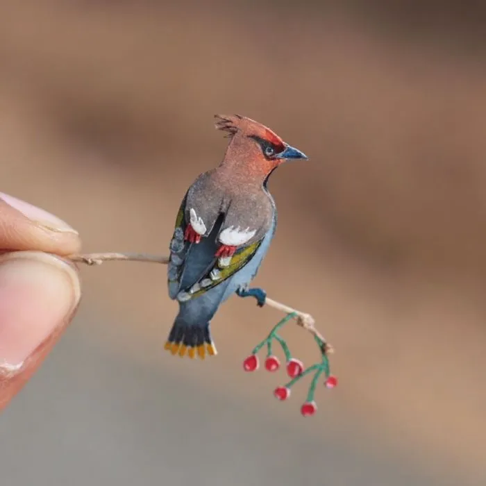 The Cedar Waxwing