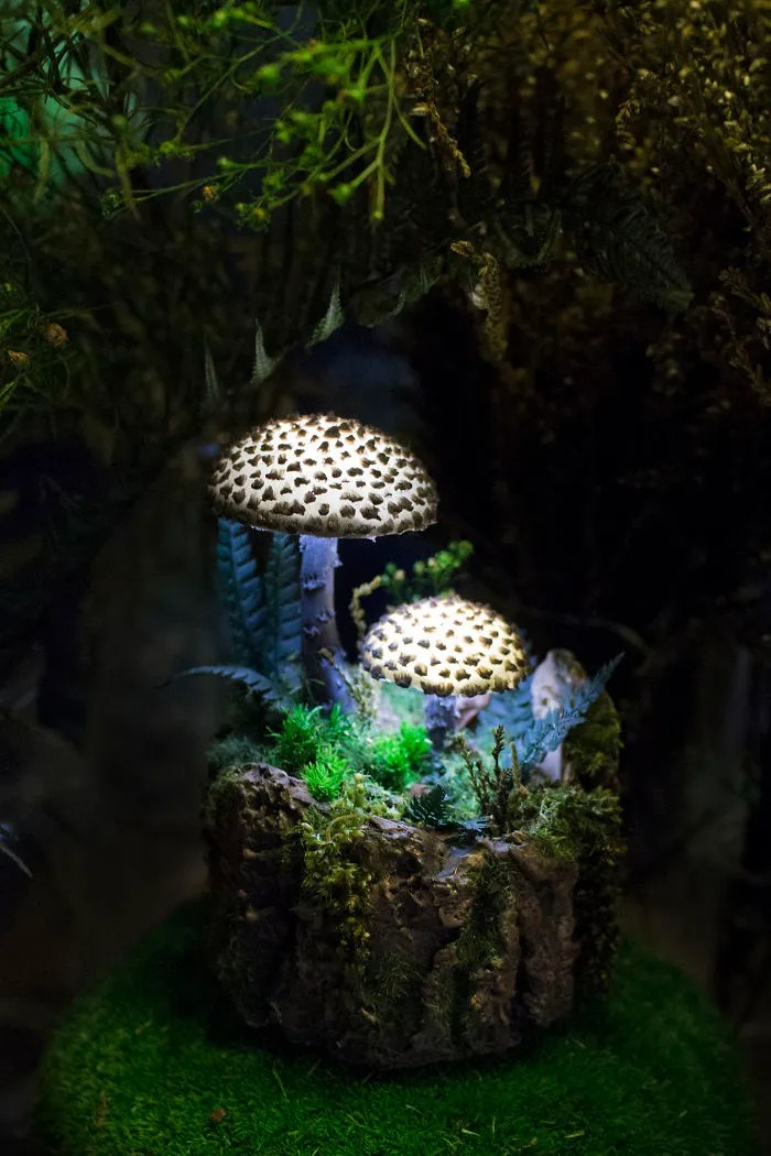 Black Mushrooms Night Light