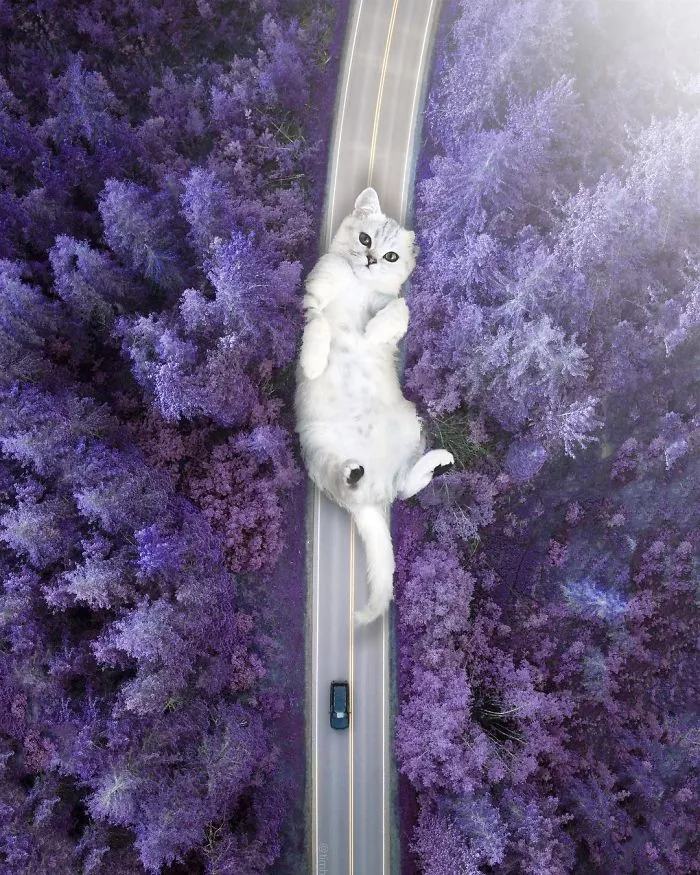 This Artist Invites You To Travel In His Fantastic Surreal Worlds