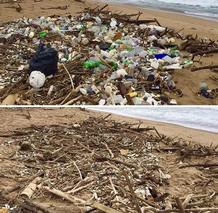 30 De las mejores respuestas al desafío #Trashtag