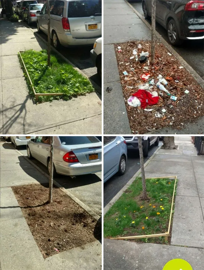 30 De las mejores respuestas al desafío #Trashtag