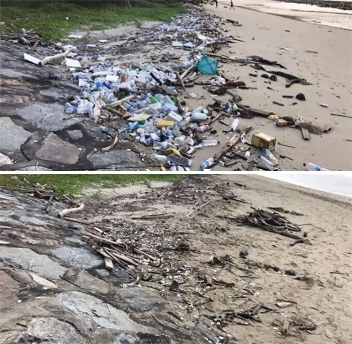 30 De las mejores respuestas al desafío #Trashtag