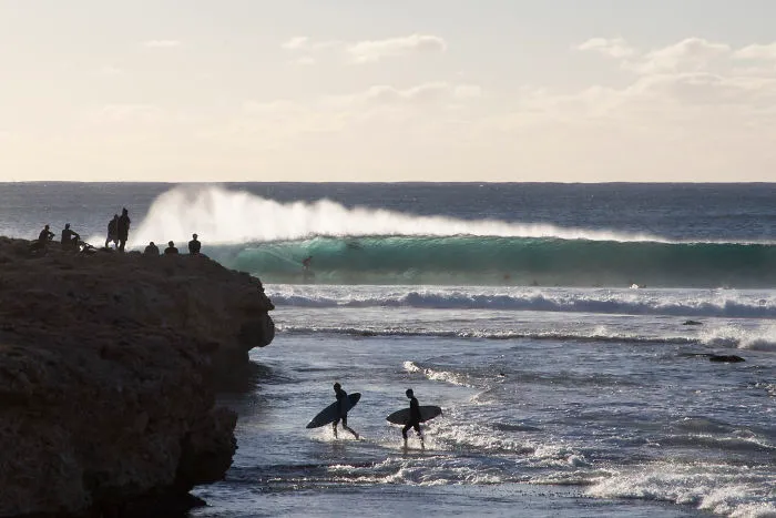 I Took These Jaw-Dropping Shots Of A Shark Frenzy In Western Australia
