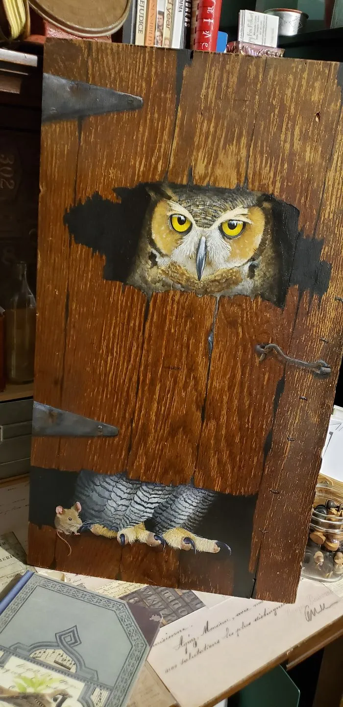 An Owl And His Friend...