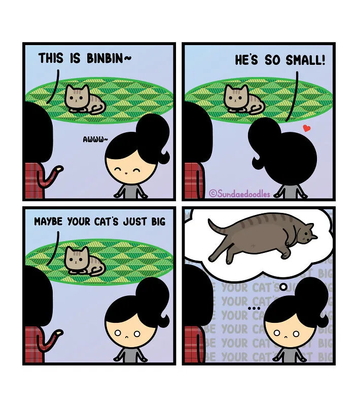 Big Cat