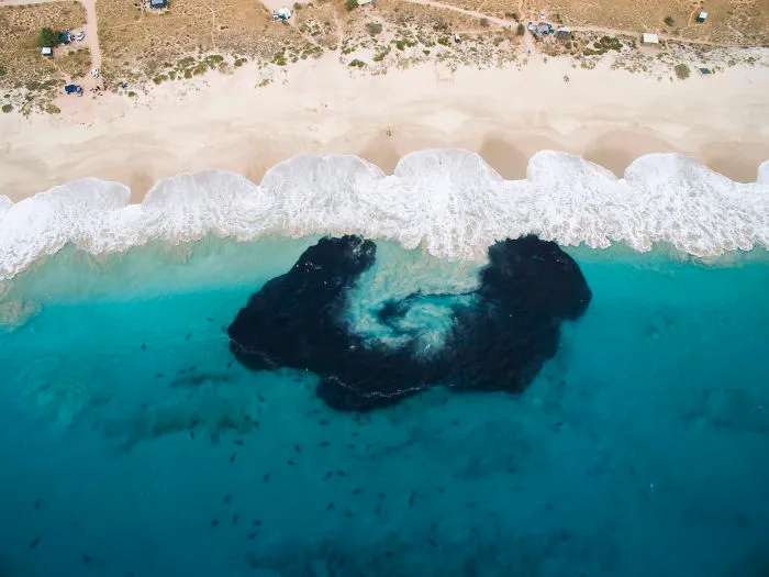 I Took These Jaw-Dropping Shots Of A Shark Frenzy In Western Australia