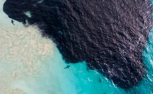 I Took These Jaw-Dropping Shots Of A Shark Frenzy In Western Australia