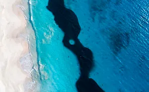 I Took These Jaw-Dropping Shots Of A Shark Frenzy In Western Australia