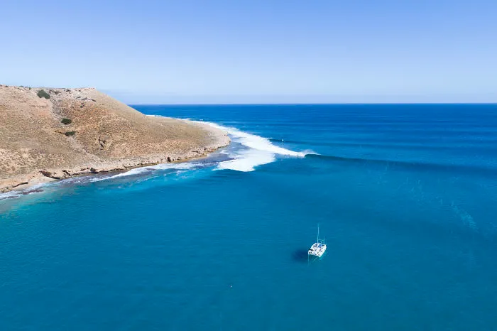 I Took These Jaw-Dropping Shots Of A Shark Frenzy In Western Australia