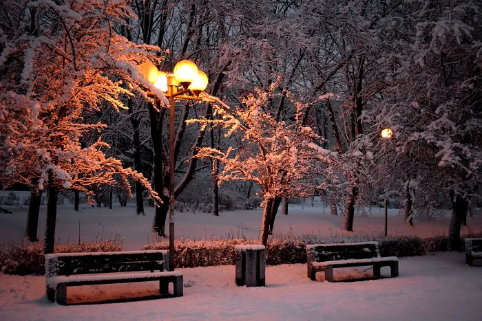 Farewell To The Winter